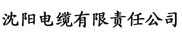 亚洲一区二区三区中文视频电缆厂logo